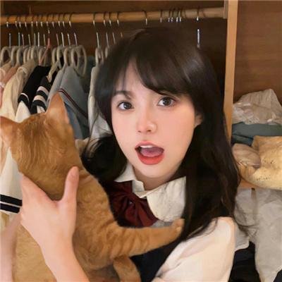 法律至上1