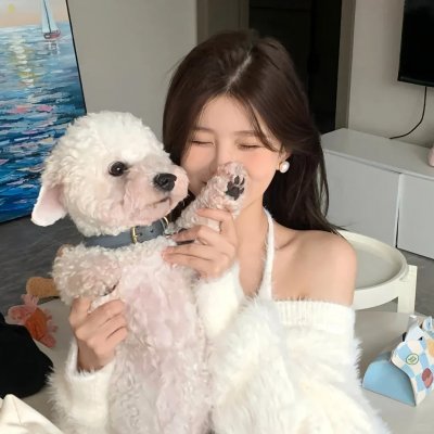 这里禁止恋爱